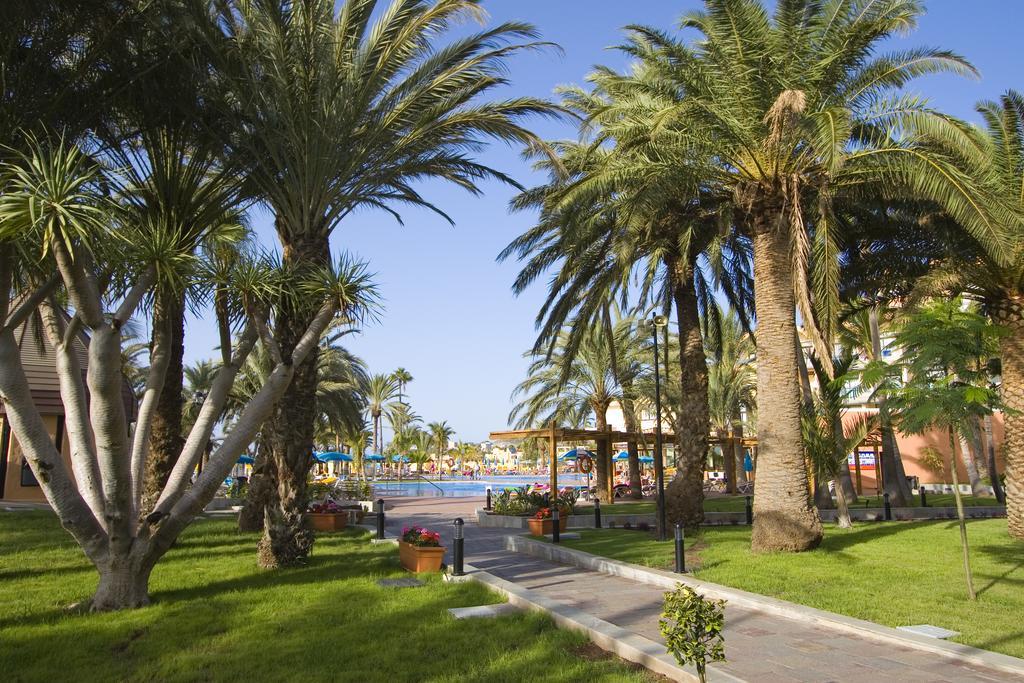 Grupotel Orquidea San Agustín Εξωτερικό φωτογραφία